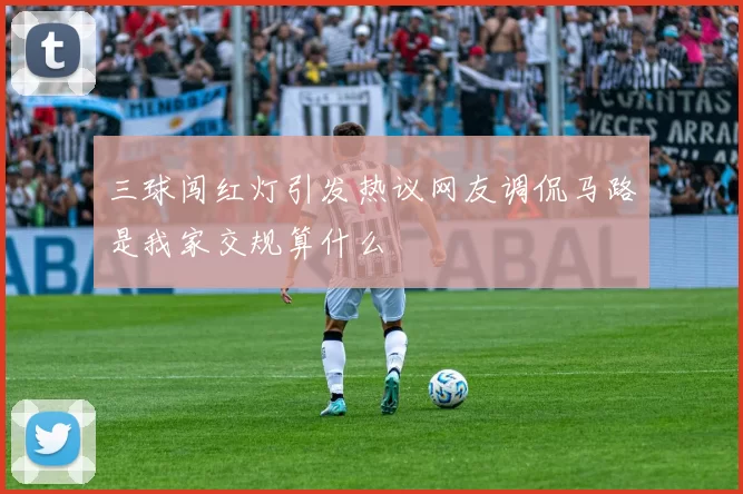 三球闯红灯引发热议网友调侃马路是我家交规算什么