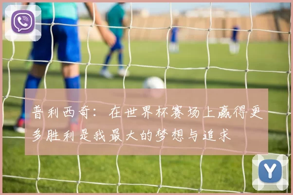 普利西奇：在世界杯赛场上赢得更多胜利是我最大的梦想与追求
